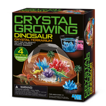Load image into Gallery viewer, 4M Crystal Growing Dinosaur Crystal Terrarium
