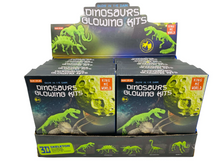 Load image into Gallery viewer, Glow In the Dark Dinosaur Skeleton Model
