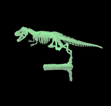 Load image into Gallery viewer, Glow In the Dark Dinosaur Skeleton Model
