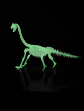 Load image into Gallery viewer, Glow In the Dark Dinosaur Skeleton Model
