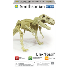 Load image into Gallery viewer, Smithsonian Dinosaur T-Rex "Fossil" Kit
