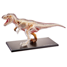 Load image into Gallery viewer, 4D Vision T-Rex Model
