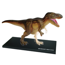 Load image into Gallery viewer, 4D Vision T-Rex Model

