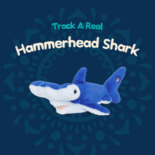 Load image into Gallery viewer, Fahlo Hammerhead Shark Plush - Track a Real Hammerhead Shark!

