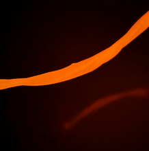 Load image into Gallery viewer, Gootonium: Glowing Orange Solar Putty - 20g
