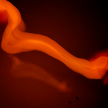 Load image into Gallery viewer, Gootonium: Glowing Orange Solar Putty - 20g
