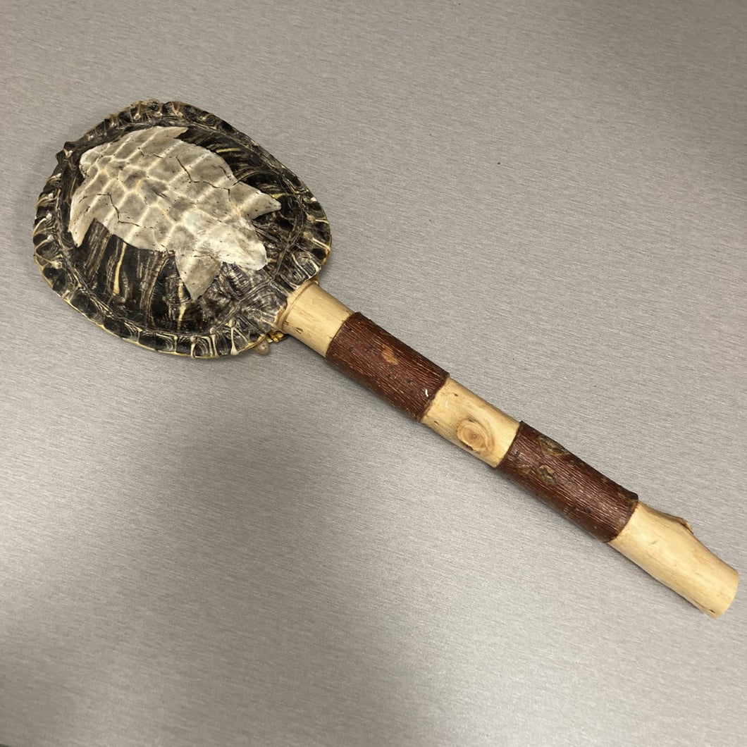 Turtle Shell Instrument with Carved Design