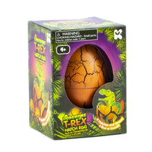 Load image into Gallery viewer, NURCHUMS Large T-Rex Hatching Eggs
