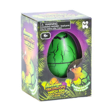Load image into Gallery viewer, NURCHUMS Large Triceratops Hatching Eggs
