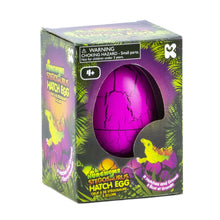 Load image into Gallery viewer, NURCHUMS Large Stegosaurus Hatching Eggs
