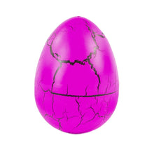 Load image into Gallery viewer, NURCHUMS Large Stegosaurus Hatching Eggs
