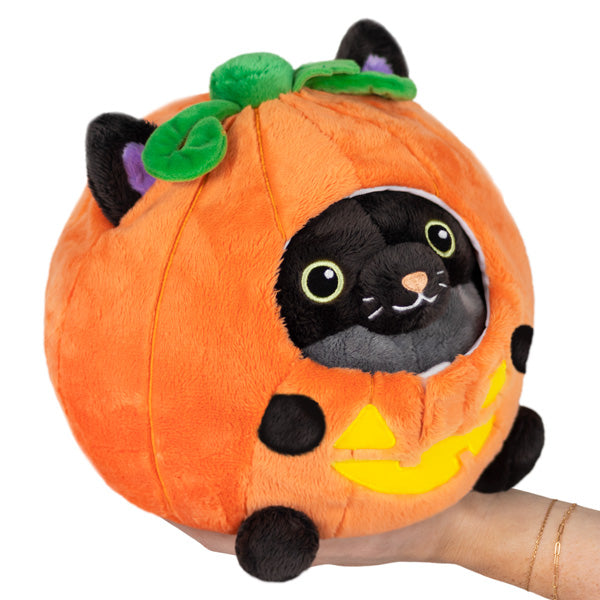 Undercover Kitty in Pumpkin