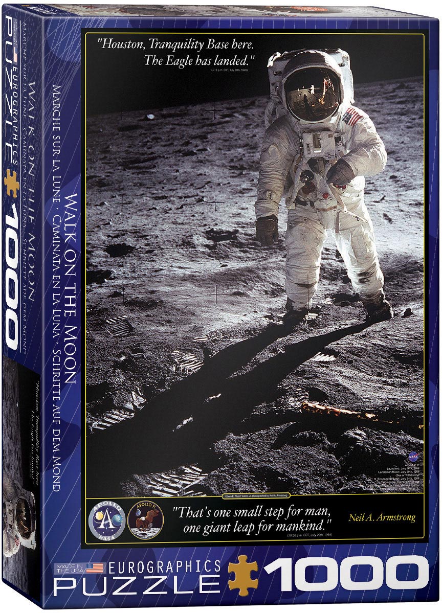 Walk on the Moon Puzzle