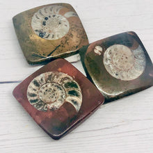 Load image into Gallery viewer, Ammonite Fossil Magnet
